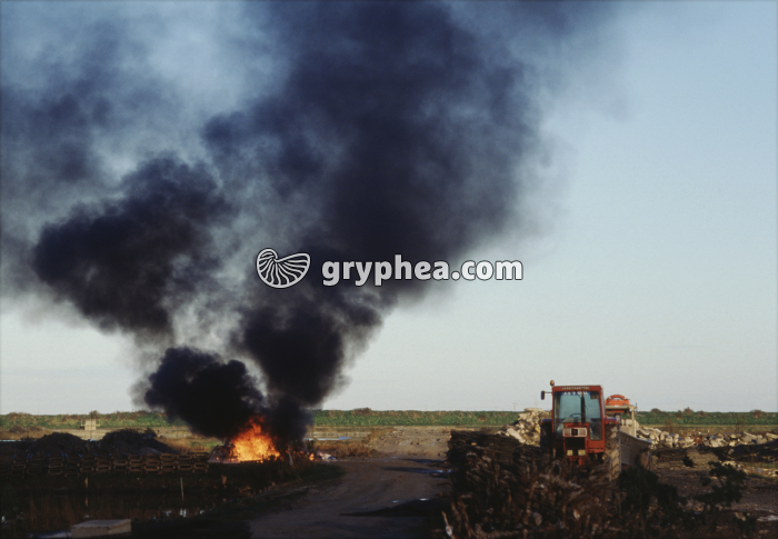 Pollution de l'air par la combustion d'hydrocarbures - gryphea.com